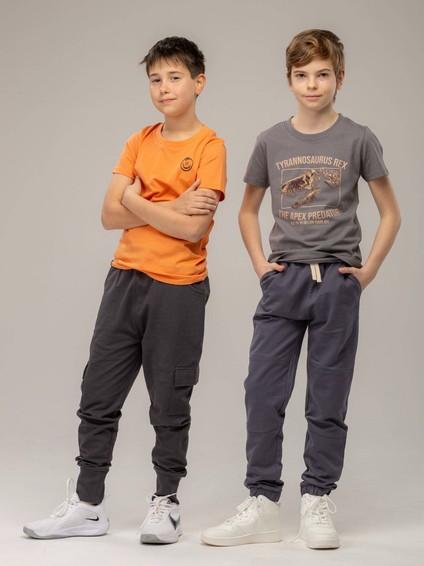 Gargoyle Grey T-Rex | Rövid ujjú póló fiúknak