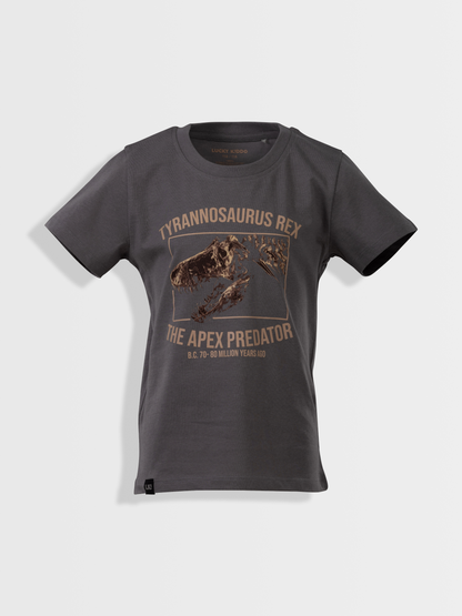 Gargoyle Grey T-Rex | Rövid ujjú póló fiúknak