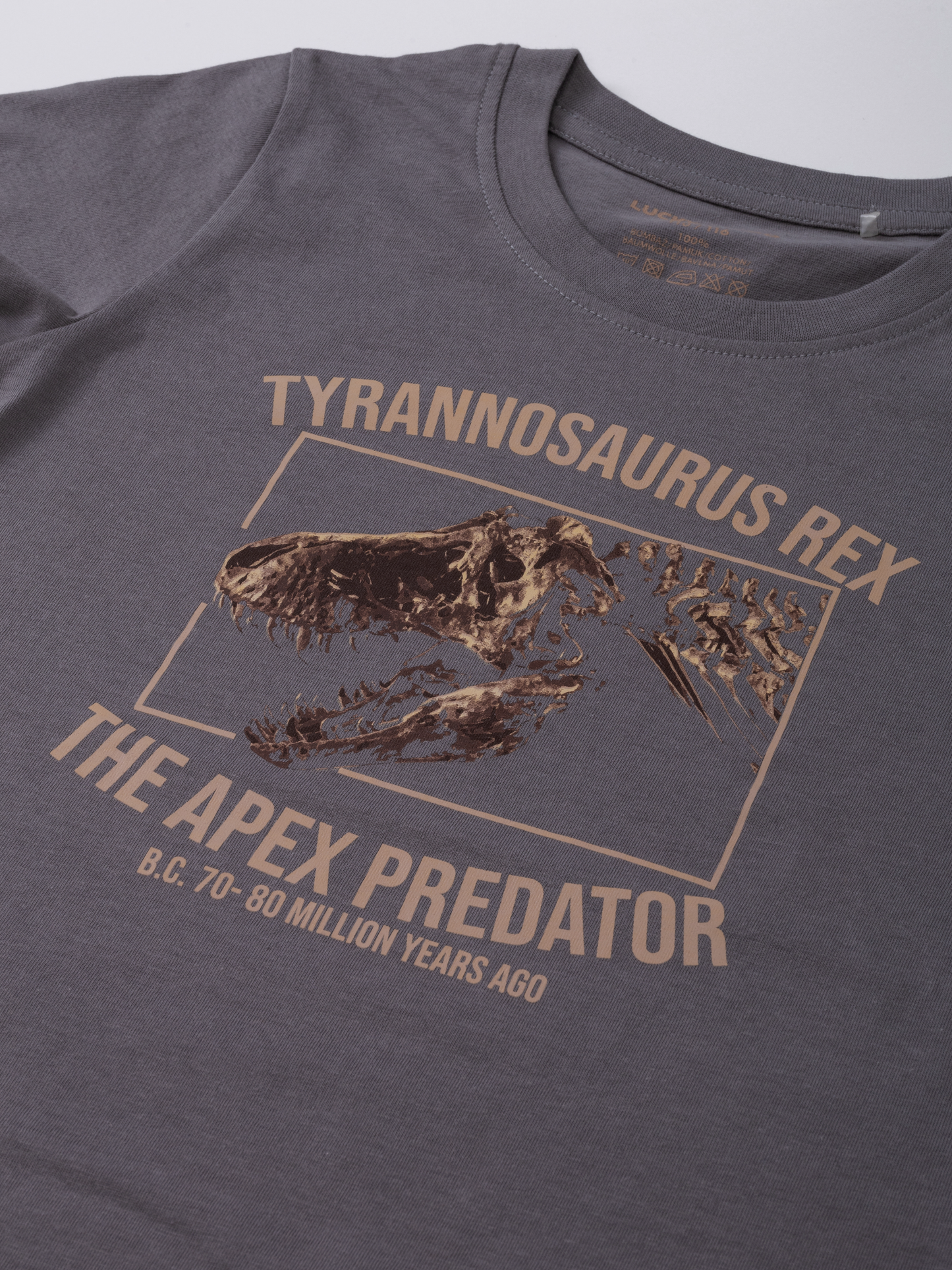 Gargoyle Grey T-Rex | Rövid ujjú póló fiúknak