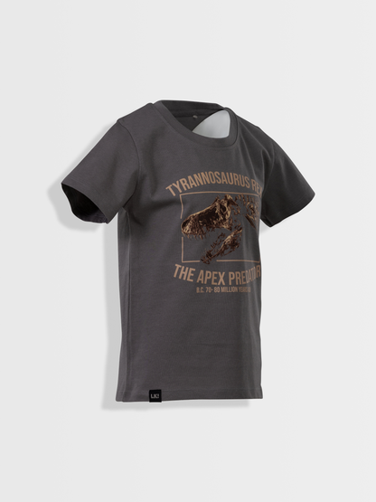 Gargoyle Grey T-Rex | Rövid ujjú póló fiúknak