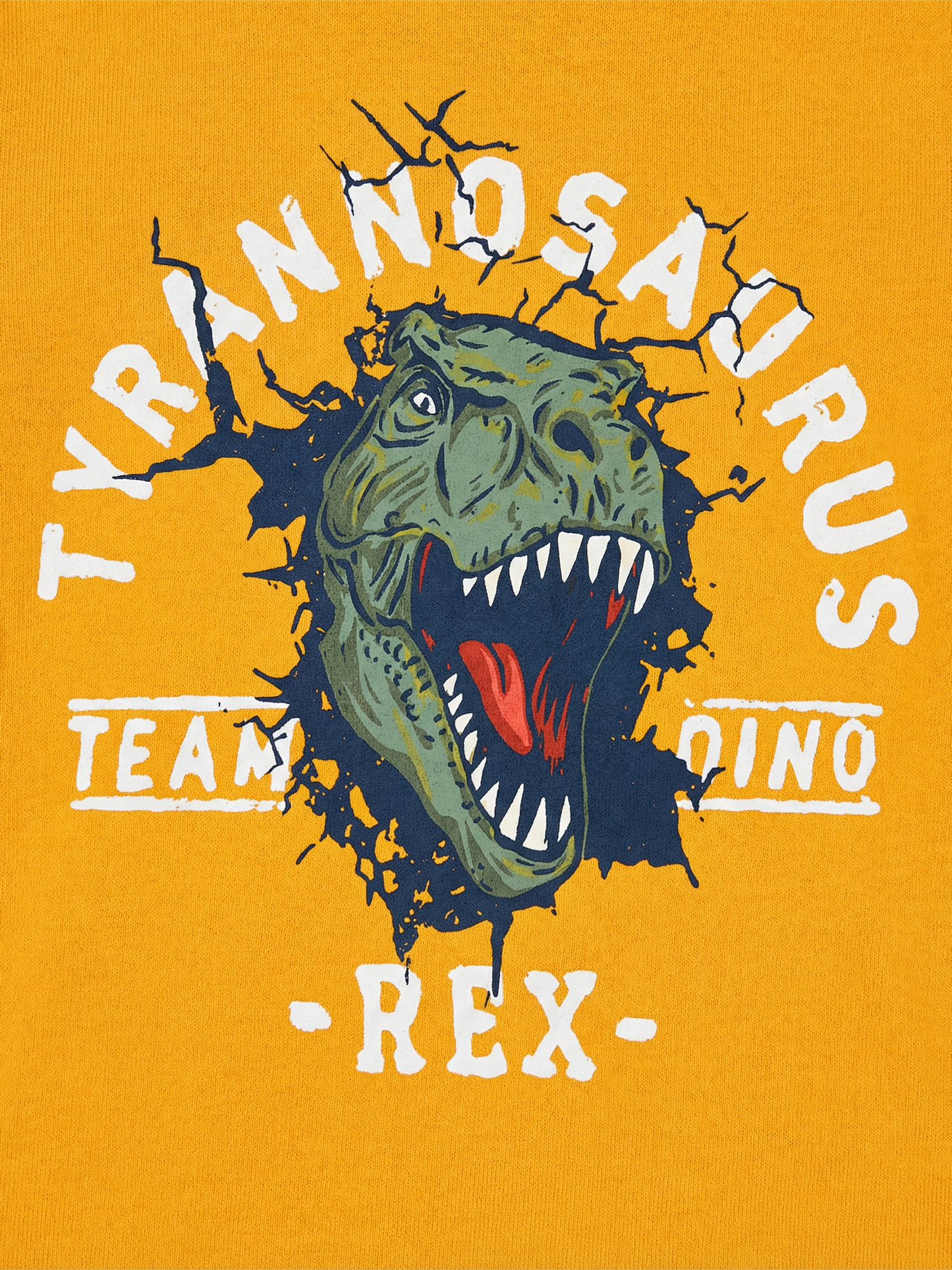 Rex Roar | Rövid ujjú póló fiúknak