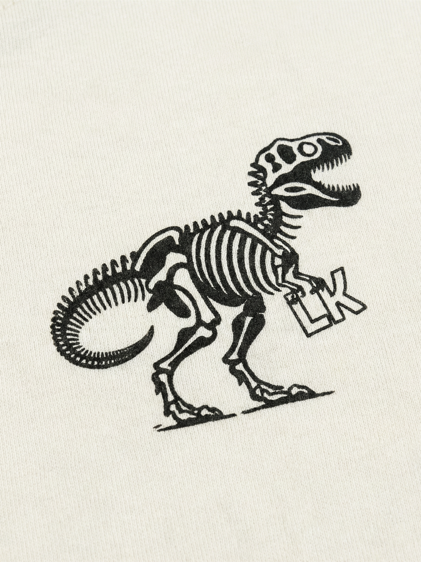 Dino Fossil Friend | Rövid ujjú póló fiúknak