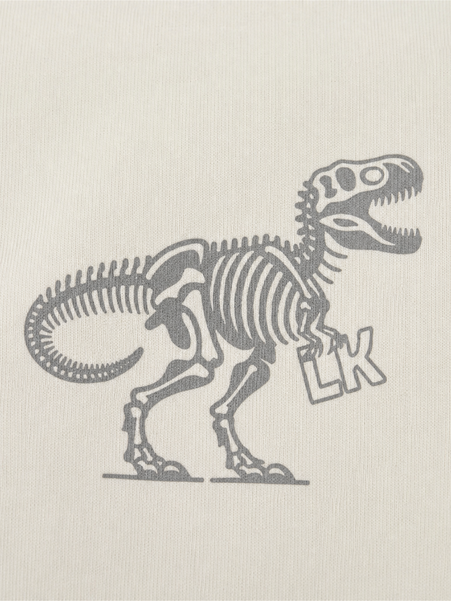 Dino Fossil Friend | Rövid ujjú póló fiúknak