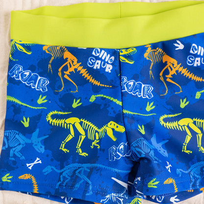 Fiú úszó boxer Dino